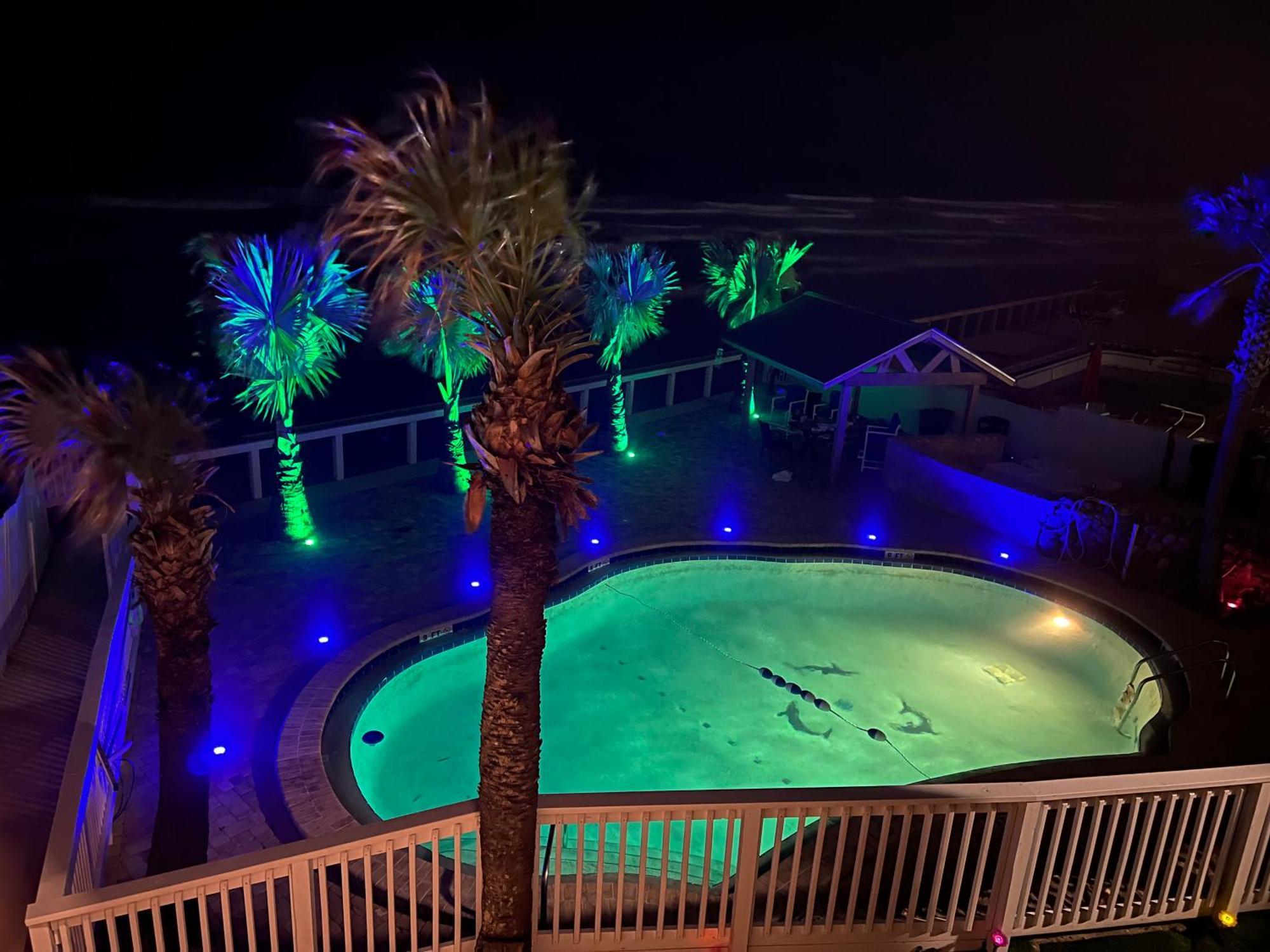 Flamingo Inn Beachfront - デイトナ・ビーチ エクステリア 写真