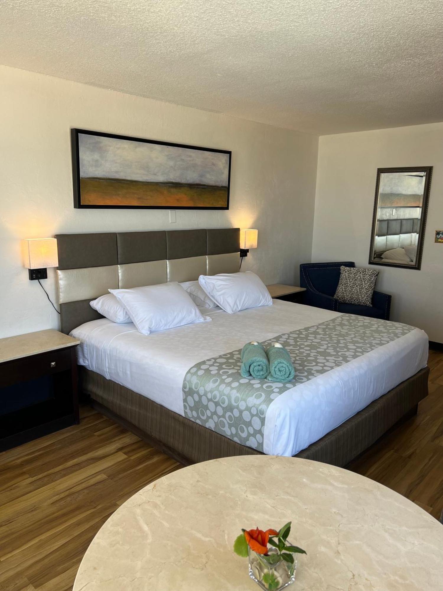 Flamingo Inn Beachfront - デイトナ・ビーチ エクステリア 写真