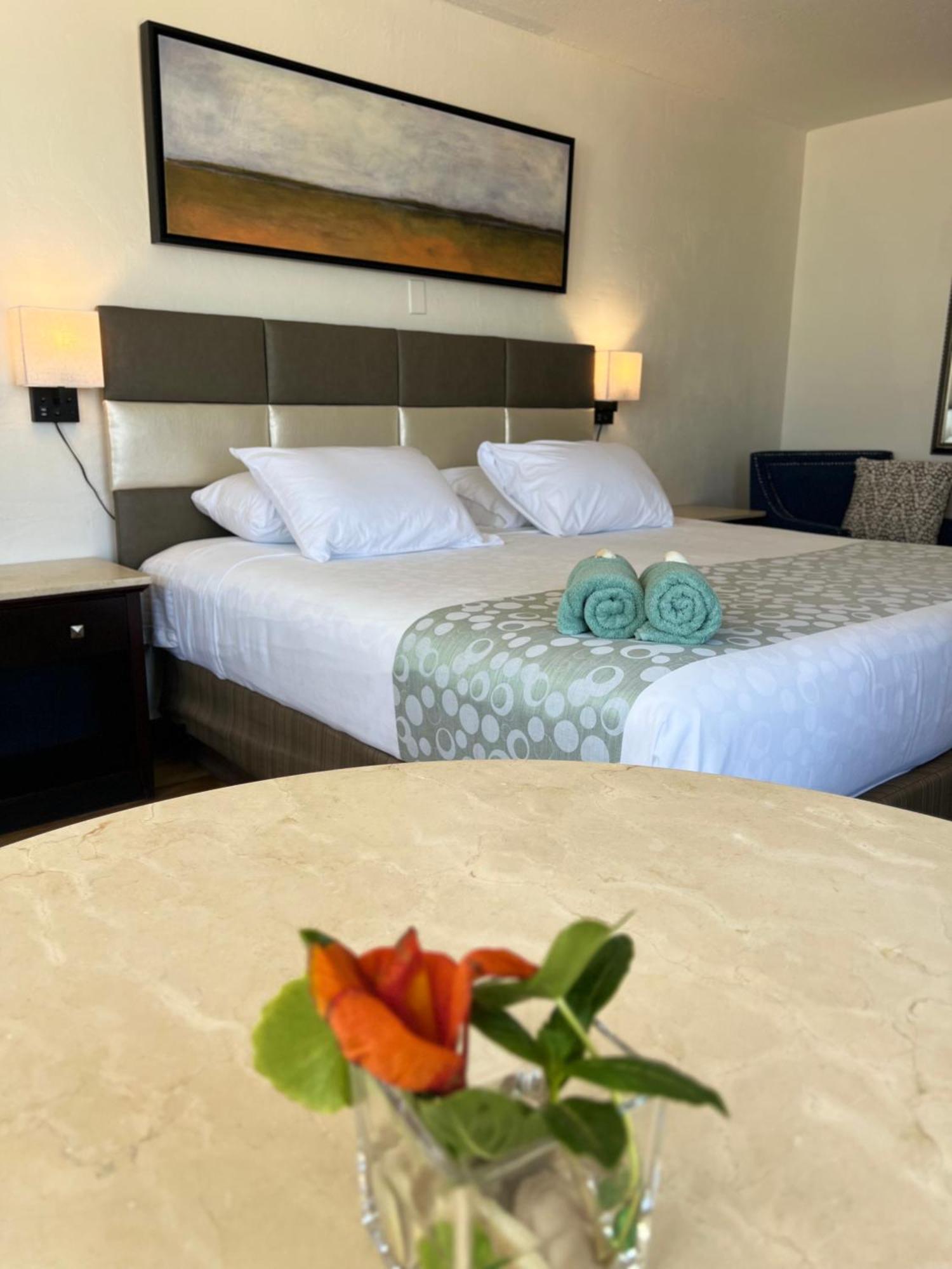 Flamingo Inn Beachfront - デイトナ・ビーチ エクステリア 写真