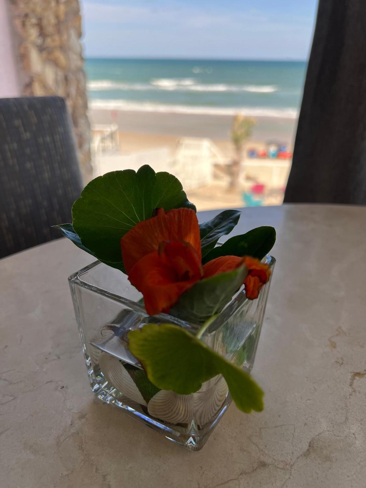 Flamingo Inn Beachfront - デイトナ・ビーチ エクステリア 写真