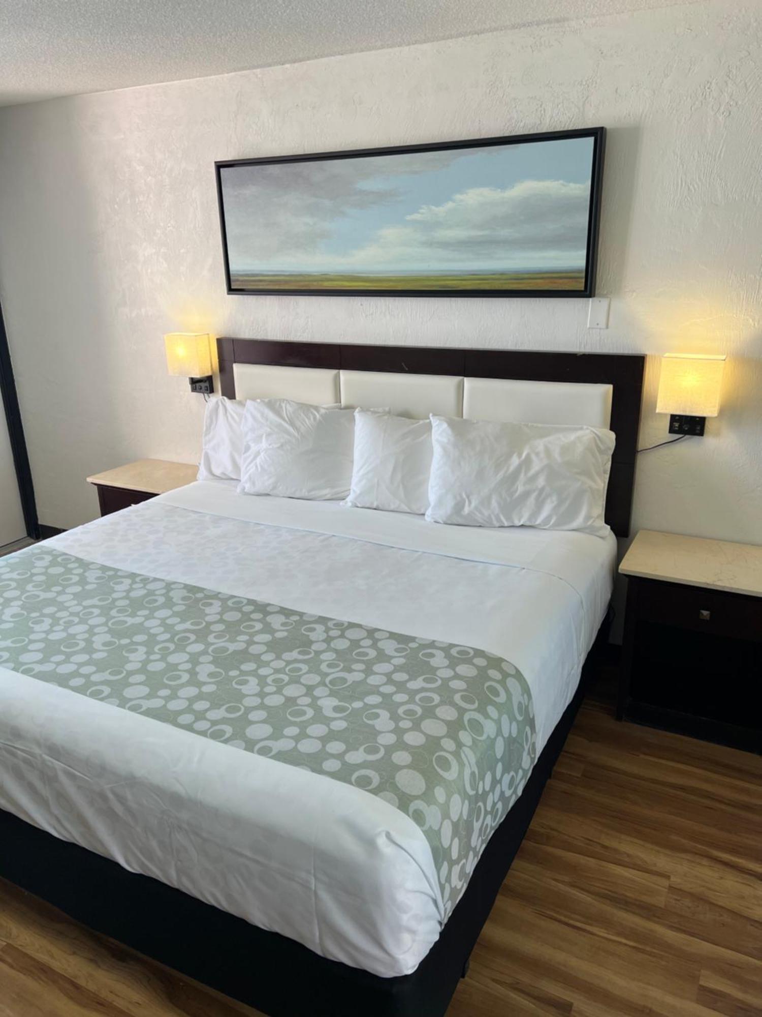 Flamingo Inn Beachfront - デイトナ・ビーチ エクステリア 写真